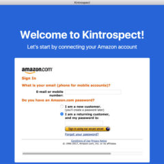 Another Tool to Manage and Export Kindle Highlights – Kintrospect